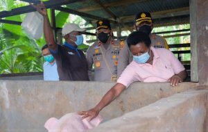 20210320_Wakapolda melihat peternakan warga binaan Binmas Noken