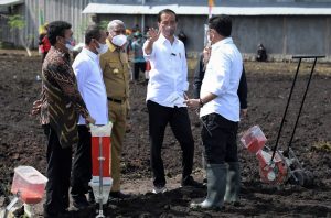 20211004_Presiden Tingkatkan Produktivitas Sektor Pertanian di Papua Barat